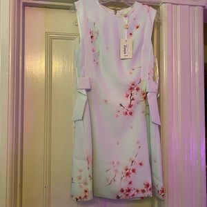 Ted Baker Blossom Side Bow Dress NWT Ted size 2=6